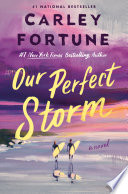 Our Perfect Storm by Carley Fortune